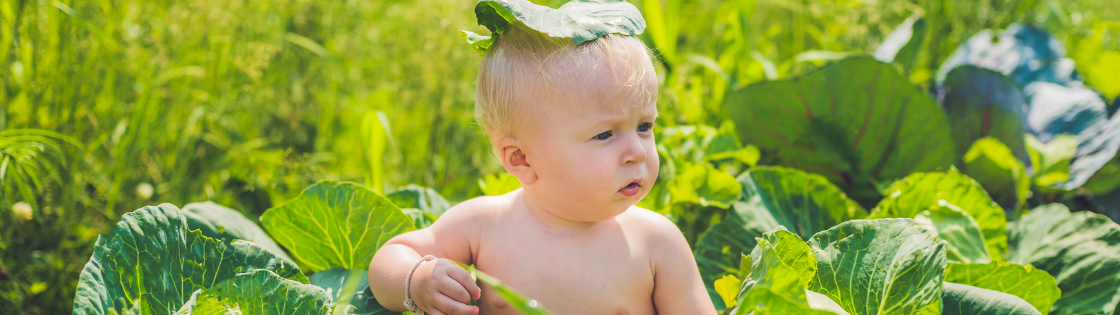 Mažesnė alerginio įsijautrinimo rizika